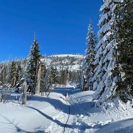 Wildkraeuter Hexenhaus Дом отдыха