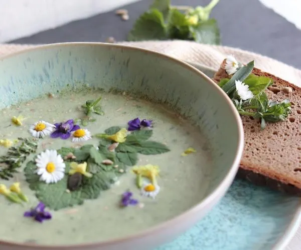 Дом отдыха Wildkraeuter Hexenhaus *